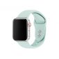 silicone watch band Apple watch strap pure color double pin