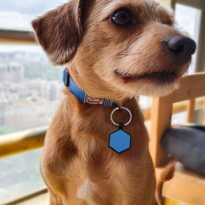silicone dog id tag pet products