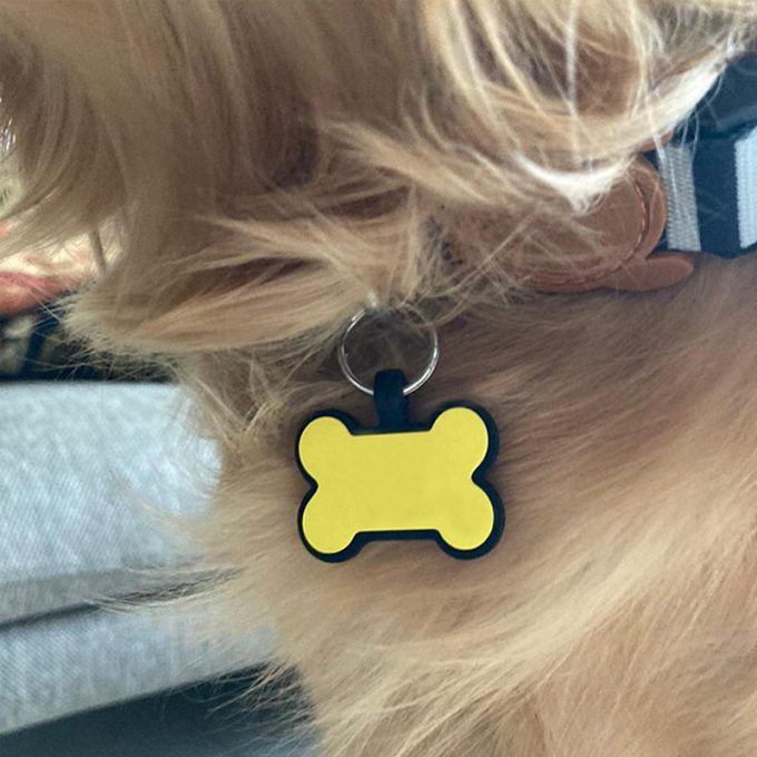 silicone dog id tag pet products